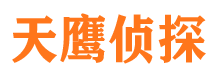 鲁甸侦探公司